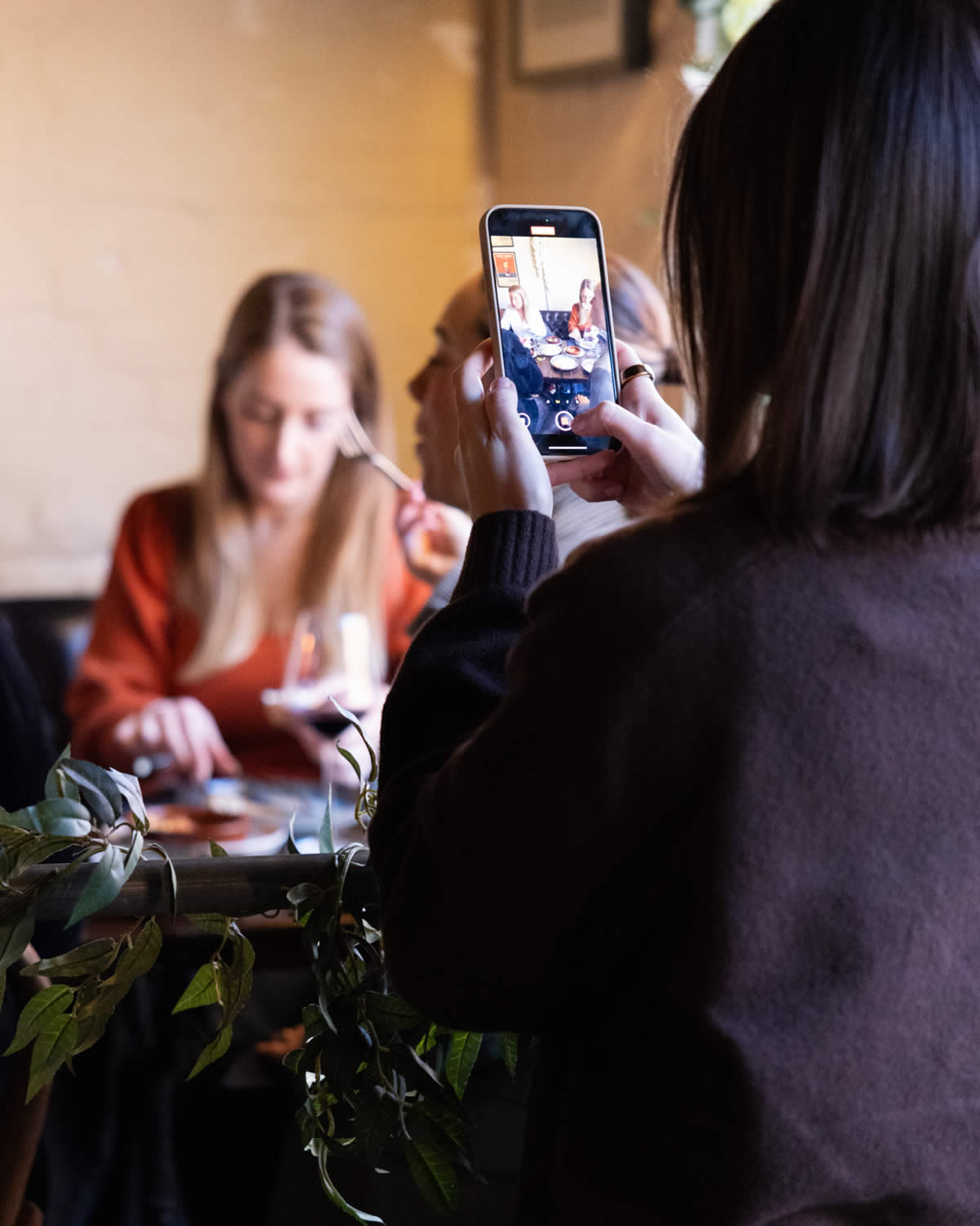Influencer and UGC
